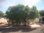 3901 E Stewart Las Vegas, NV 89110 - Image 1741543