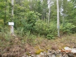 Lot 88 Bear Lake Reserve (Property Tuckasegee, NC 28783 - Image 1741602