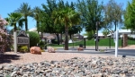 2000 S. Apache Rd. #243 Buckeye, AZ 85326 - Image 1742093