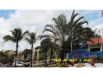 13858 SW 90 AV # 107-KK Miami, FL 33176 - Image 1742270