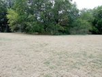 Lot 6 Meadowview Drive Campbell, TX 75422 - Image 1744154