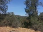 84.6 AC Road 800 Raymond, CA 93653 - Image 1744137