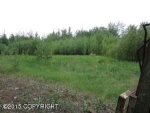 4100 E Steven Drive Wasilla, AK 99654 - Image 1744676