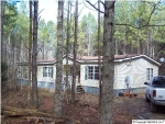 270 BRISTOW CREEK RD Altoona, AL 35952 - Image 1745507