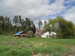 1949 Scott Rd Rice, WA 99167 - Image 1745898