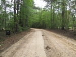 Red Cut Hill Rd Tract 3 Leesville, LA 71446 - Image 1745990