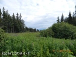 190 Tulin Bluff West Court Homer, AK 99603 - Image 1748456