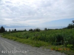 230 Meadow Court Homer, AK 99603 - Image 1748458