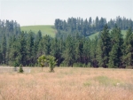 0000 Melville Rd Cheney, WA 99004 - Image 1750753