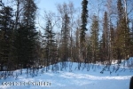 13818 E Wilderness Lane Palmer, AK 99645 - Image 1751254