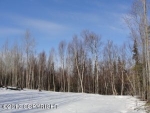 8573 E Highlands Palmer, AK 99645 - Image 1751250