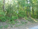 Lot 8 Thompson Ridge Road Alexander City, AL 35010 - Image 1751715