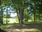 536 Rocky Creek Dr Alexander City, AL 35010 - Image 1751716