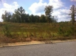 Belle Meade Cir Lot 3 Northport, AL 35475 - Image 1752211