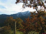 TBD Cty Rd 14A Ouray, CO 81427 - Image 1752955