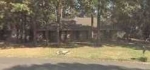 201 Magnolia Trl Brandon, MS 39047 - Image 1753124