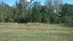 3641 Garnett Road Star City, AR 71667 - Image 1754540