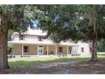 3949 SE HWY 42 Summerfield, FL 34491 - Image 1757195