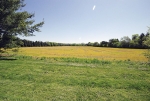 000 Pine Meadows Hartland, WI 53029 - Image 1757782