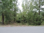 Lot 52 Richland Hills Conway, AR 72034 - Image 1763404