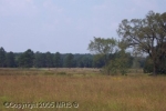 14007 Twin Mountains Rd Mitchells, VA 22729 - Image 1766312