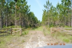 LOT 19 OTTER CREEK Bronson, FL 32621 - Image 1783086