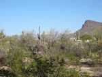 10760 W Rudasill Tucson, AZ 85743 - Image 1784056