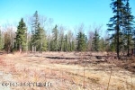 1055 N ZAKANDRA Circle Wasilla, AK 99654 - Image 1784924