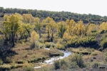 TBD Routt County Road 80 & 56 Hayden, CO 81639 - Image 1787388