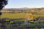 8691 West Dry Creek Rd Healdsburg, CA 95448 - Image 1793836