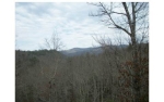 220 Cold Branch Ln Hayesville, NC 28904 - Image 1795321