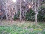 LOT 16 Old Neck Road Exmore, VA 23350 - Image 1808565