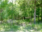 Lot 42 Table Rock Dr. Eureka Springs, AR 72631 - Image 1834280