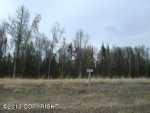 L19 B2 E Tributary Avenue Palmer, AK 99645 - Image 1836407