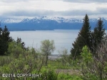 349 Fireweed Avenue Homer, AK 99603 - Image 1837631