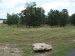 Lot 205 Apn R0981020500 Chico, TX 76431 - Image 1845593