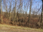 Lot 23 Cogar Dr Frankfort, NY 13340 - Image 1846803