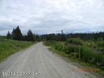 115 Tulin Bluff East Court Homer, AK 99603 - Image 1851898