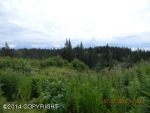 131 Tulin Bluff East Court Homer, AK 99603 - Image 1851899