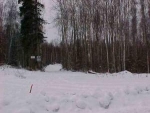 2812 S Sylvan Lane Wasilla, AK 99654 - Image 1852059