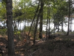 LOT 277 EDGEWATER Lancaster, SC 29720 - Image 1852388