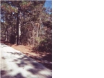 0 BROOMSTRAW HILL RD Awendaw, SC 29429 - Image 1852888