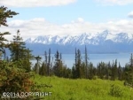 L1 Tracy Avenue Homer, AK 99603 - Image 1852850