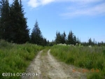 Tr. 24 West Highlands Boulevard Homer, AK 99603 - Image 1853221