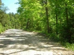 Tract 1 Cr 65 Calico Rock, AR 72519 - Image 1854313