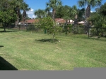 1071 Donegan Rd  #580 Largo, FL 33771 - Image 1854462