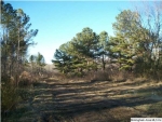 5255 KELLY CREEK RD 37.5 AC Odenville, AL 35120 - Image 1855130