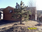 23756 Sunrose Ln Golden, CO 80401 - Image 1864820