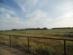 030835011 Clovis, CA 93619 - Image 1865161