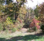 Lot 36 Oak Creek Drive Dr Gepp, AR 72538 - Image 1870043